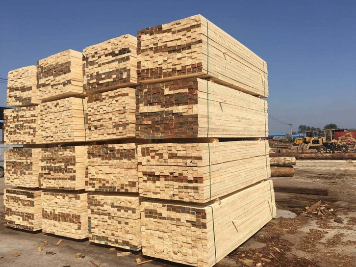 青島進口俄羅斯木材報關費用 青島進口俄羅斯木材報關費用