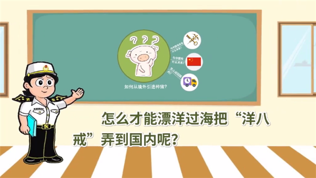 1585790865671345.png 冷凍豬肉進(jìn)口報關(guān)