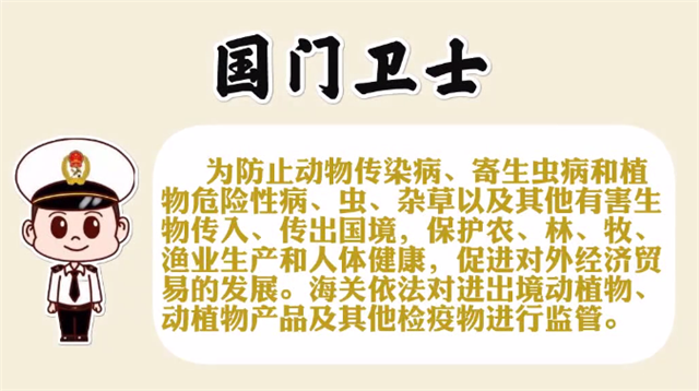 1585790899832991.png 進(jìn)口豬肉清關(guān)代理
