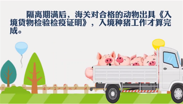 1585790950851247.png 進(jìn)口豬肉代理公司