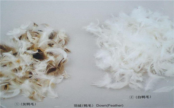 1587951879206083.jpg tjwx68_0_20190820085258_副本.jpg