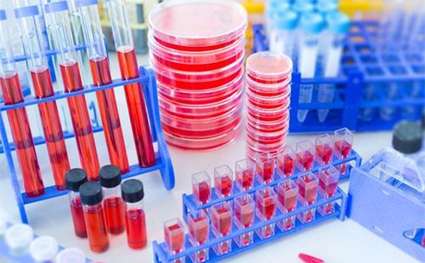 進口生物試劑清關時效以及流程 進口生物試劑清關