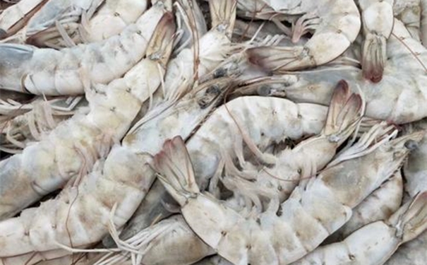 1610535617337257.jpg u=937926100,1247947605&fm=26&gp=0_副本.jpg