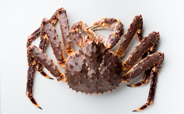 【進口帝王蟹報關代理】的流程,一般貿易進口帝王蟹 進口帝王蟹報關代理