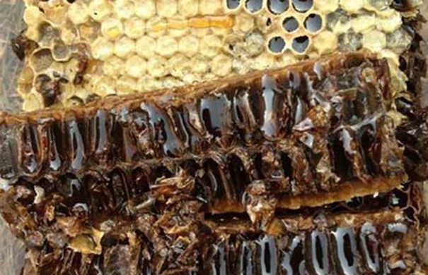 Get!蜂膠進(jìn)口清關(guān)代理需要注意這2點(diǎn) 蜂膠進(jìn)口清關(guān)代理