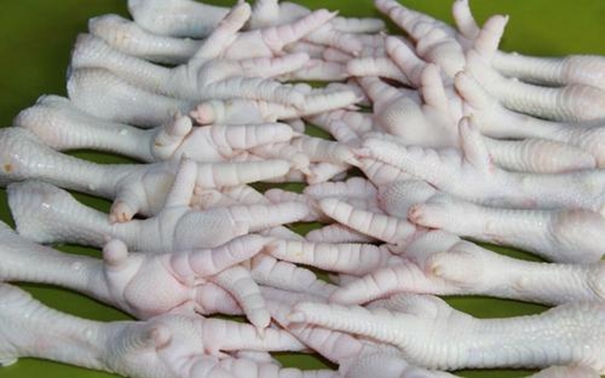 1630295319610494.jpg 雞爪清關(guān)進(jìn)口代理_副本.jpg