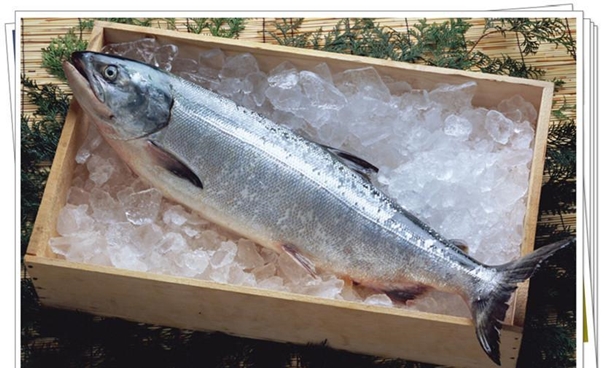 1631095835938531.jpg 上海水產(chǎn)品進口報關(guān)_副本.jpg