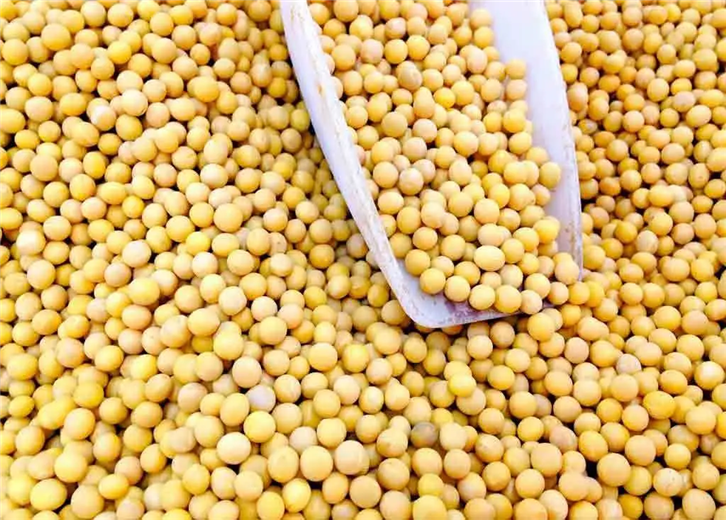 1647941022963733.png 農副產品進口報關_副本.png