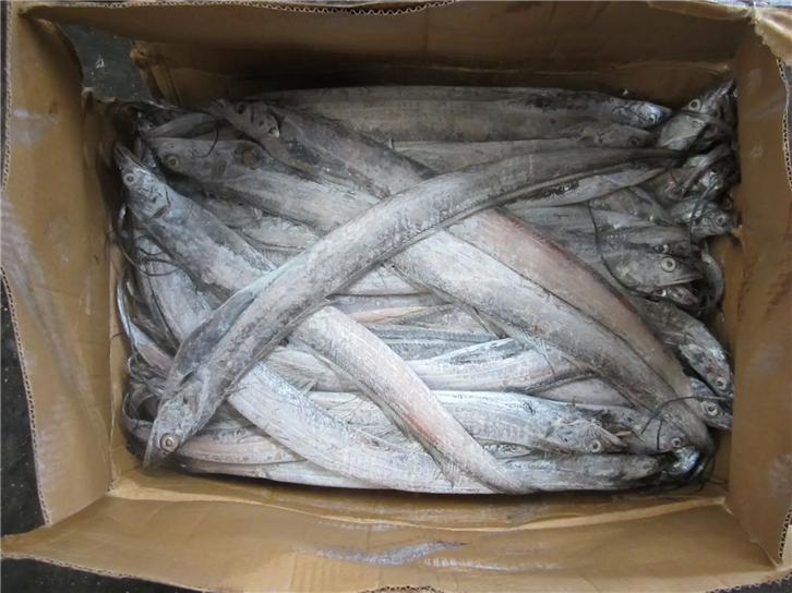 冷凍帶魚(yú)清關(guān)公司 (2)_副本.png