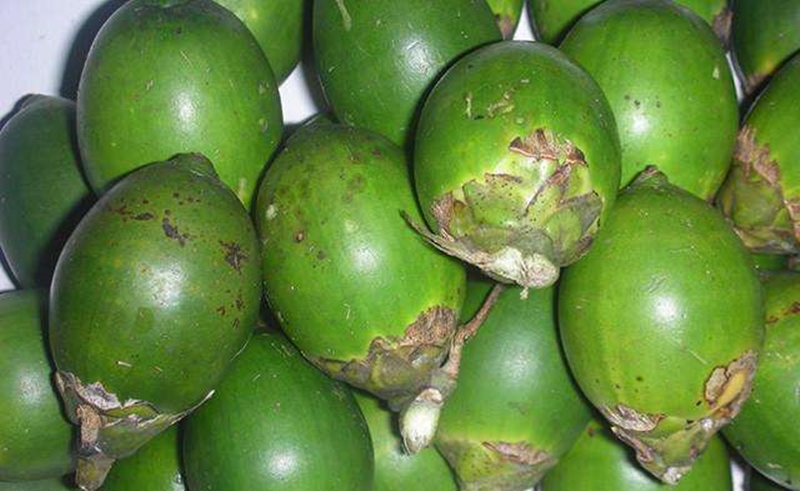 1653302923558674.jpg 進(jìn)口臺灣新鮮檳榔報關(guān).jpg