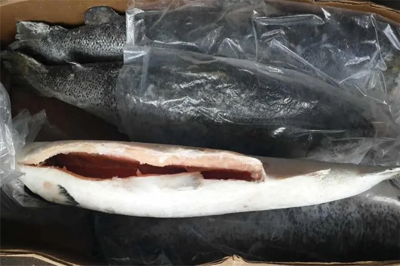 1660559748976858.png 進(jìn)口挪威三文魚清關(guān).png