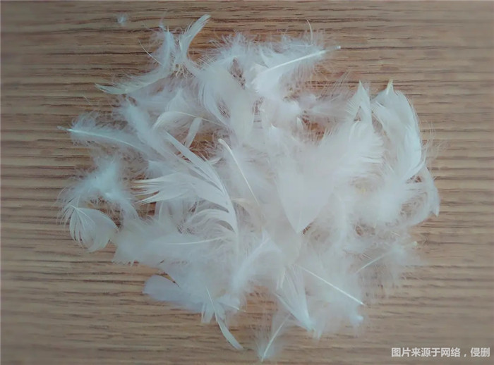 1670322312967922.jpg 水洗白鴨毛進口報關.jpg